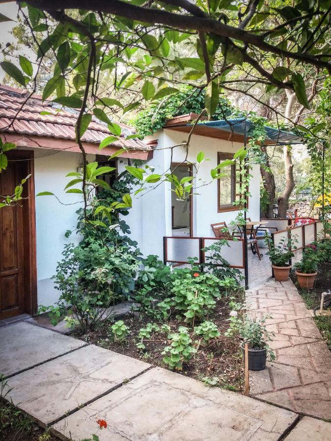 Arya Holiday Houses Çıralı Esterno foto