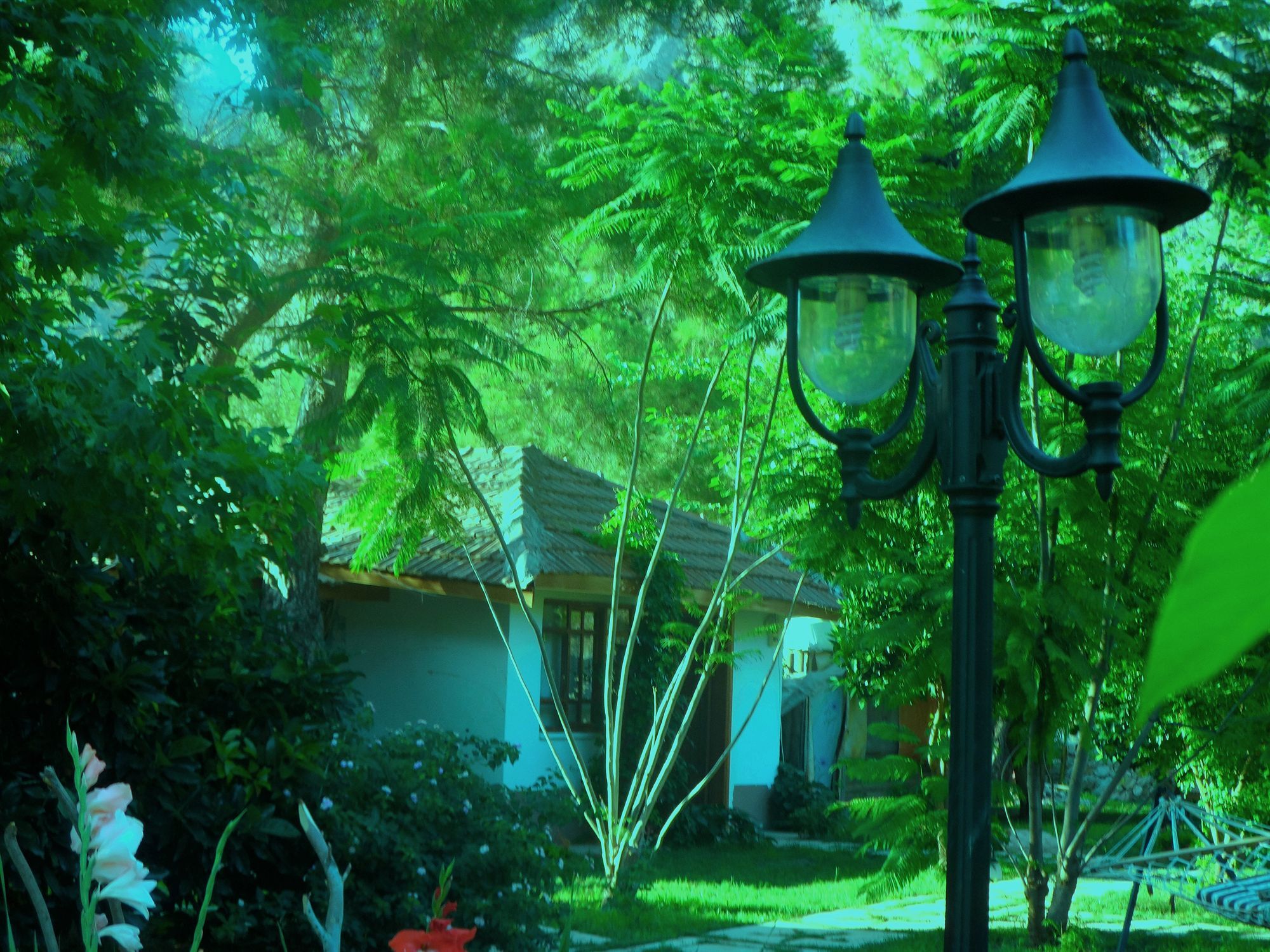 Arya Holiday Houses Çıralı Esterno foto