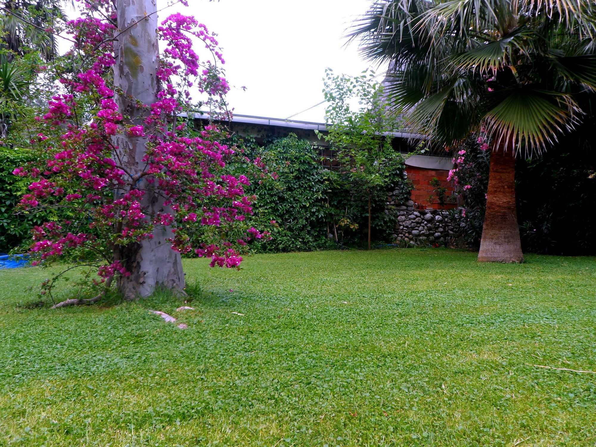 Arya Holiday Houses Çıralı Esterno foto