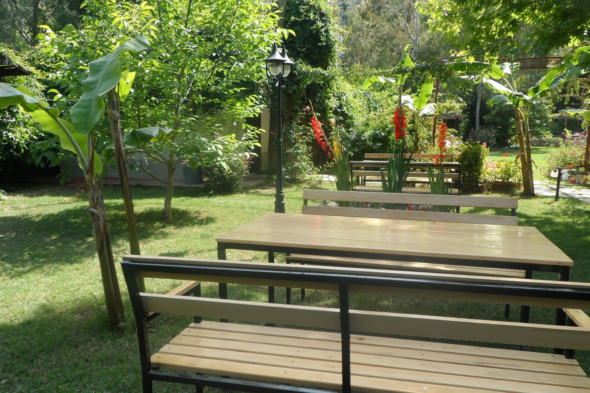 Arya Holiday Houses Çıralı Esterno foto