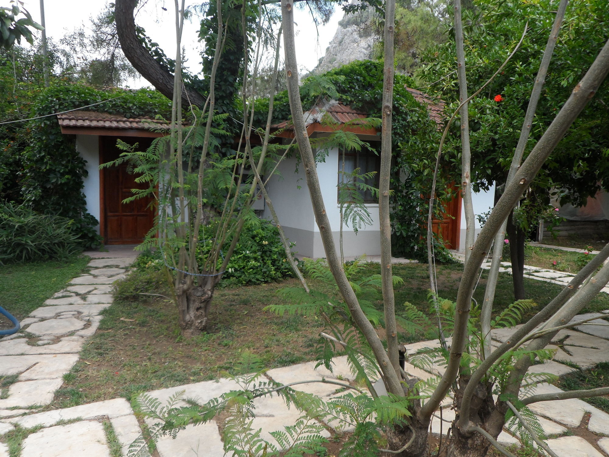 Arya Holiday Houses Çıralı Esterno foto
